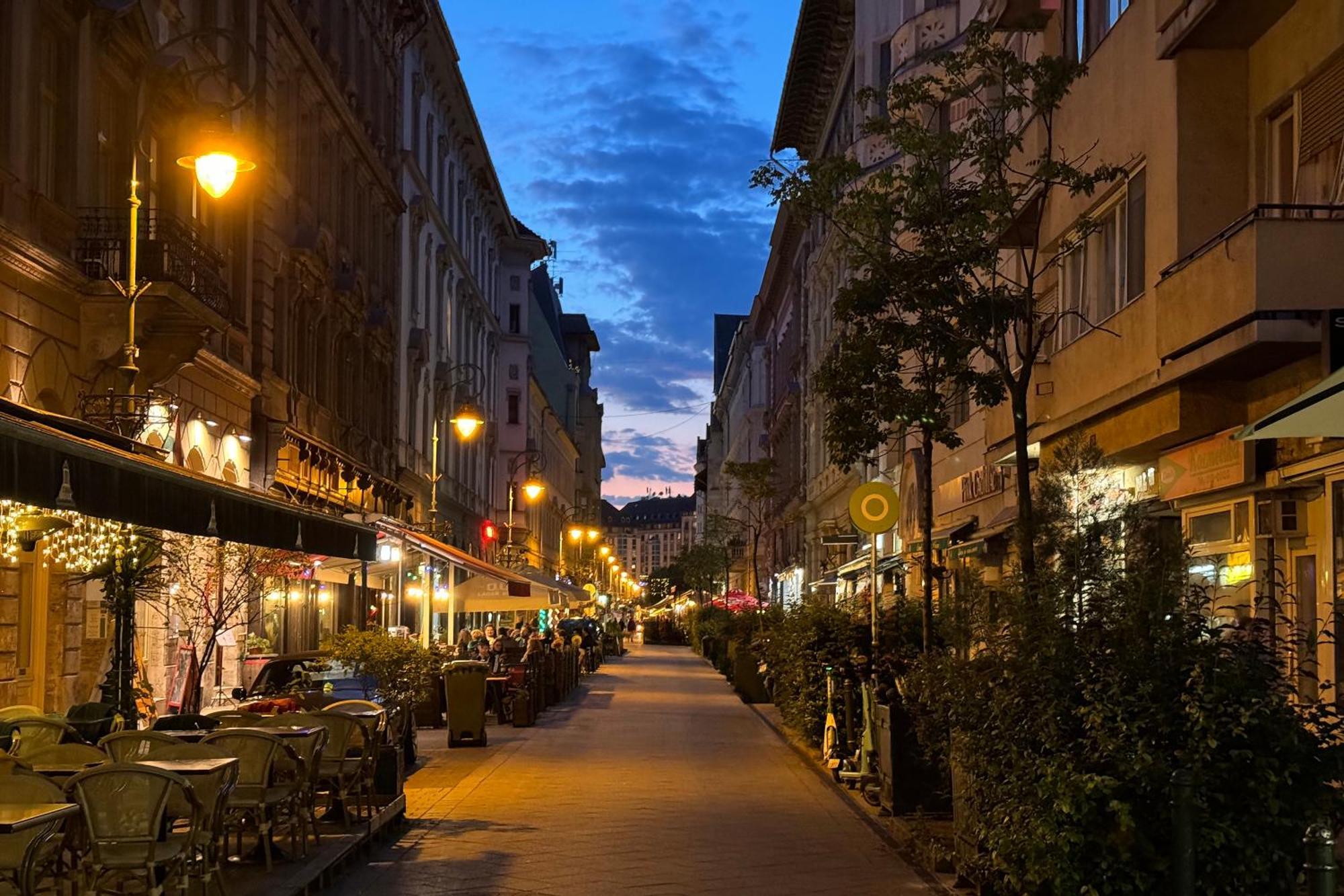 Jungle Aesthetics Downtown Apartman Aircon And Garage Parking Budapest Budapeste Exterior foto