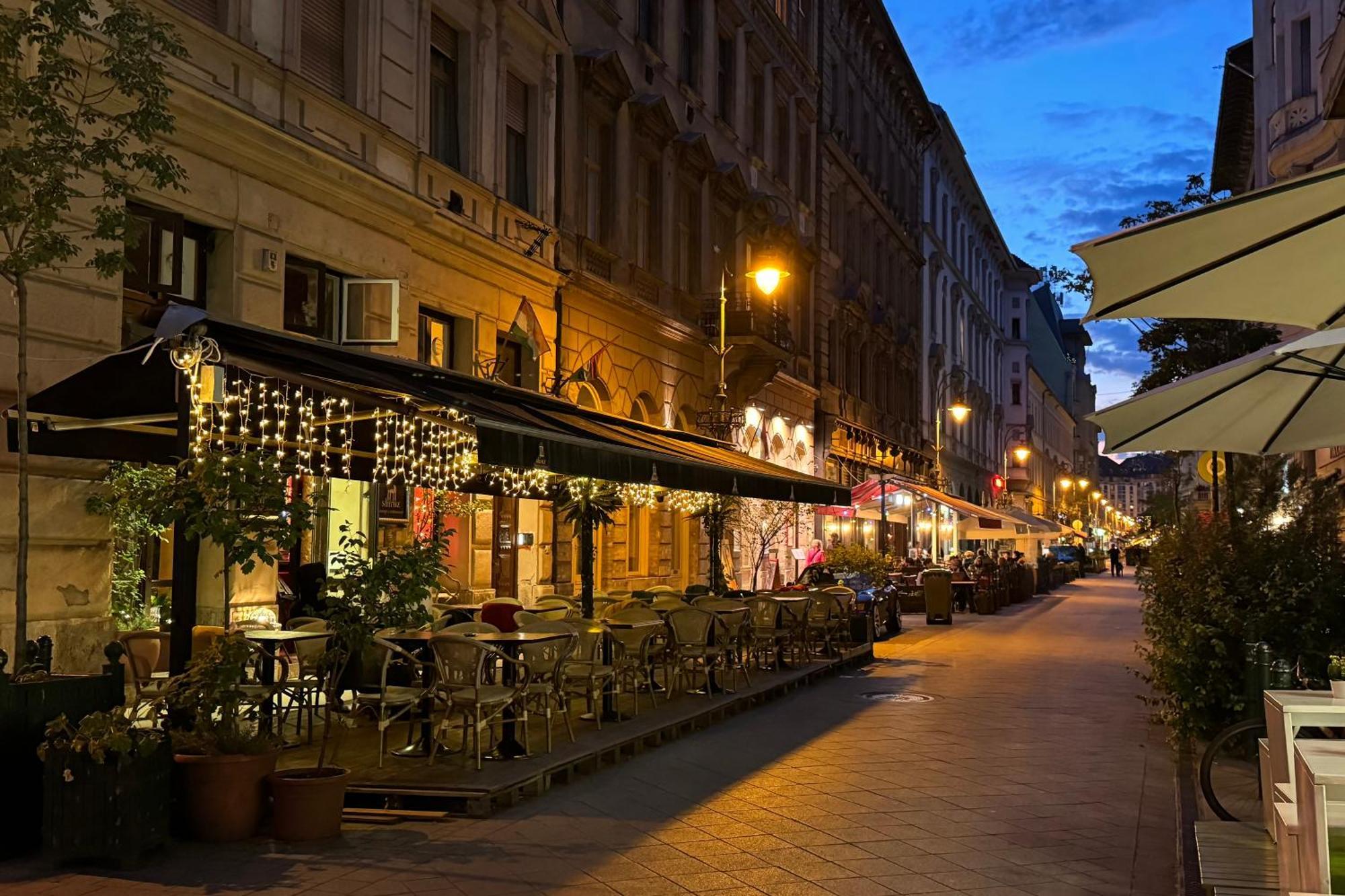 Jungle Aesthetics Downtown Apartman Aircon And Garage Parking Budapest Budapeste Exterior foto